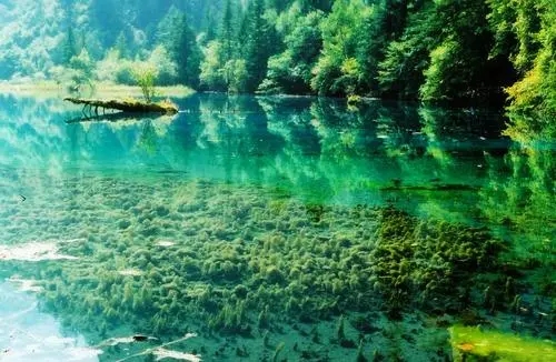 移动手机号欠费停机不管会怎么样？